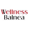 Wellness Balnea 2010