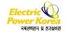 Electric Power Korea 2010