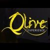 Olive Experience 2014