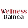 Wellness Balnea