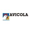 Avícola