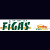 Figas & Vehigas