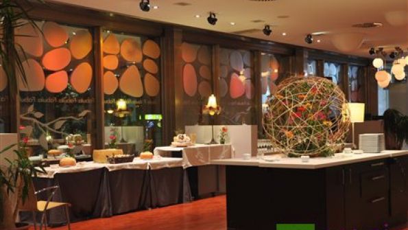 Cercis, Taller de Arte Vegetal