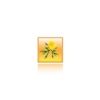 Gardening Minsk