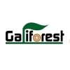 Galiforest