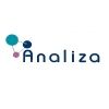 Analiza 2013