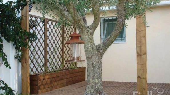 Fialhodecor