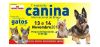 Exposição Canina Internacional de Braga