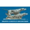Esposizione Internazionale Canina Ancona