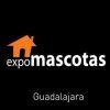 Expo Mascotas Guadalajara