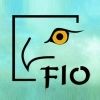 FIO