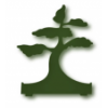 Mondo Bonsai