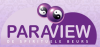 Paraview