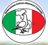 Esposizione Colombofila
