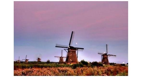 Dutch Creative Incentives