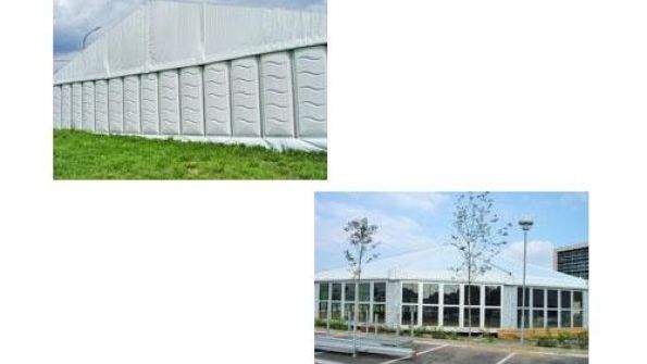 Carpa 10