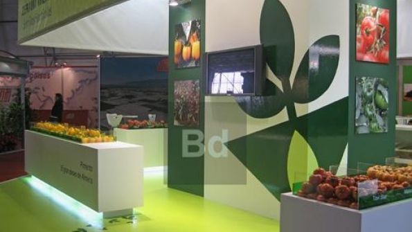 Decoración Belda