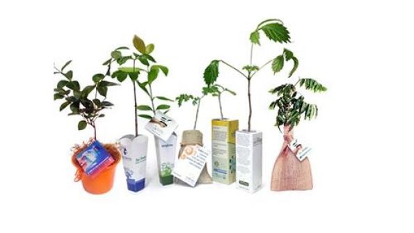 EcoBrindes