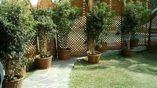 Pili Eventos