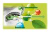 Forum Biomass'Innov
