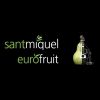 Fira de Sant Miquel