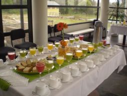 CATERING MONIQUE D,LUJO