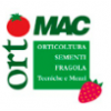 OrtoMac