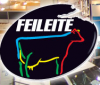 Feileite