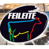 Feileite