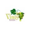 Vinis Terrae 2019