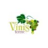 Vinis Terrae