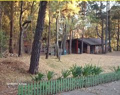 Jardín de Bosque