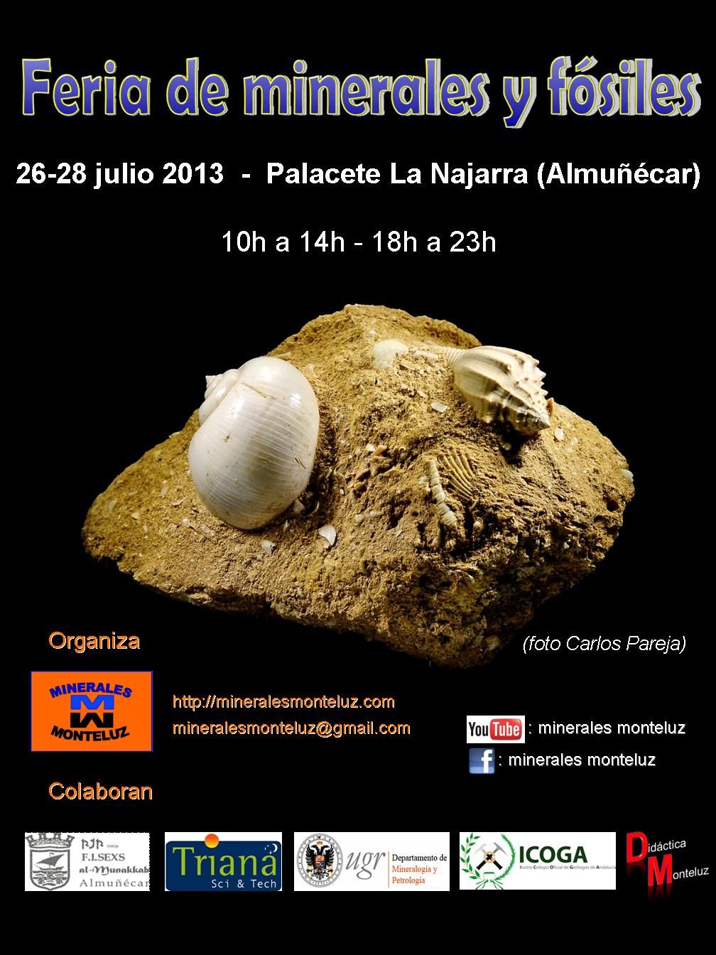 Feria de minerales y fósiles de Almuñécar. 2015