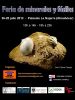 Feria de minerales y fósiles de Almuñécar.