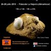Feria de minerales y fósiles de Almuñécar.