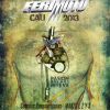 Ferimoto