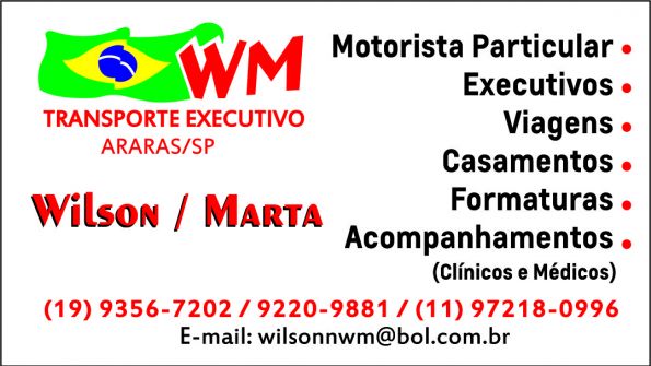WM TRANSPORTES EXECUTIVOS