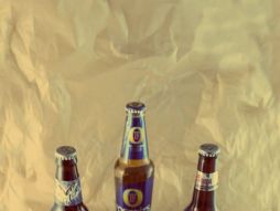 cerveceo.com