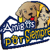 Amigos por Siempre - Exposición de Mascotas y algo mas....
