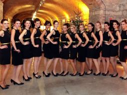 Angelic Hostess Agency