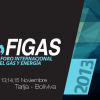 FIGAS - Foro Internacional del Gas y Energía