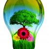 Lusoflora de Verão - Exposição e Venda de Plantas , Flores e Acessórios de Jardinagem