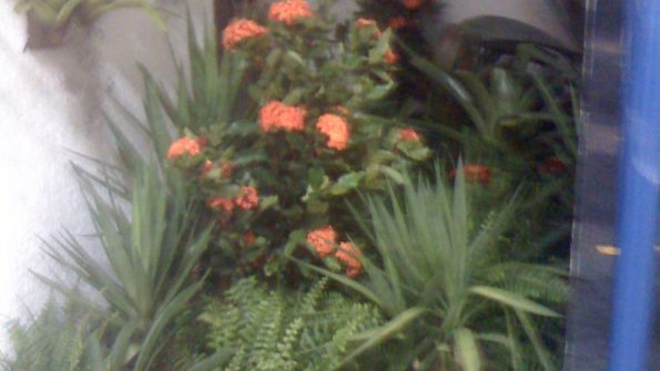 Galpão das Plantas