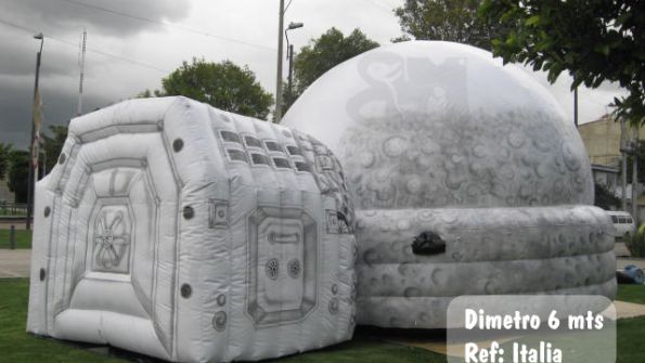 Blow Fish Design Inflables