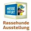 Hageha Pirmasens
