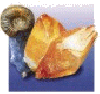 Westdeutsche Mineralientage