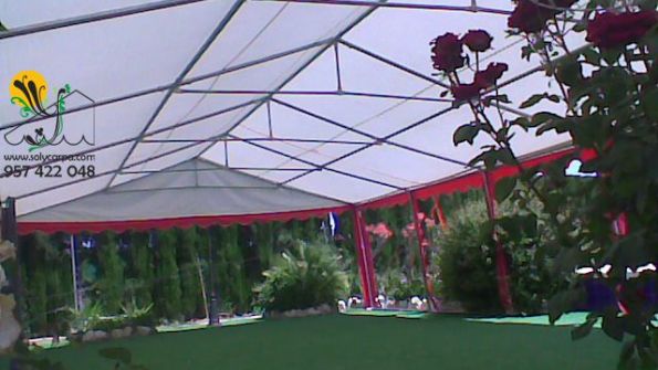 SolyCarpa