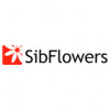 SibFlowers