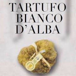 Tartufo Bianco d'Alba 2018