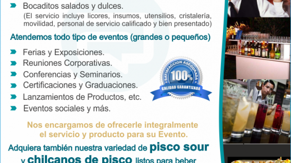 Asesorías Vip